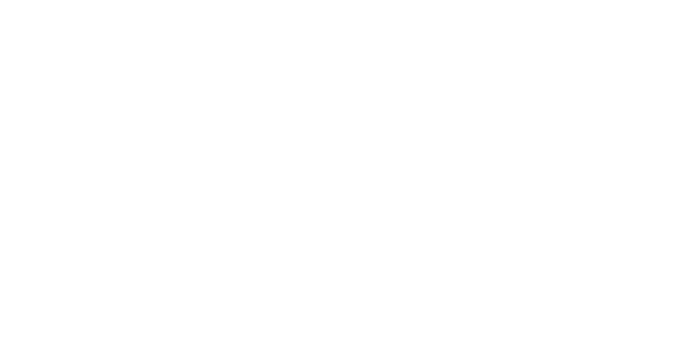 Cyber Hunt