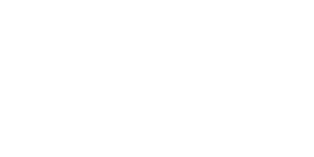 Data Set Development_Curation_Documentation