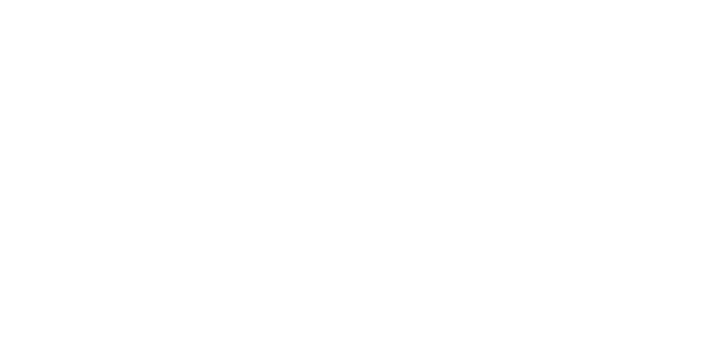 Explainability Testing