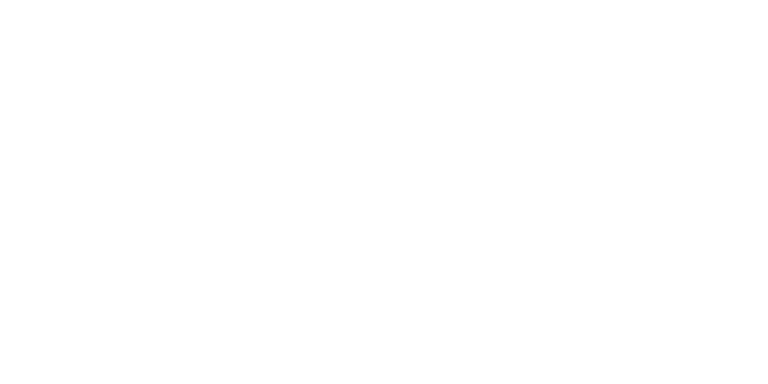 IT Professional Services