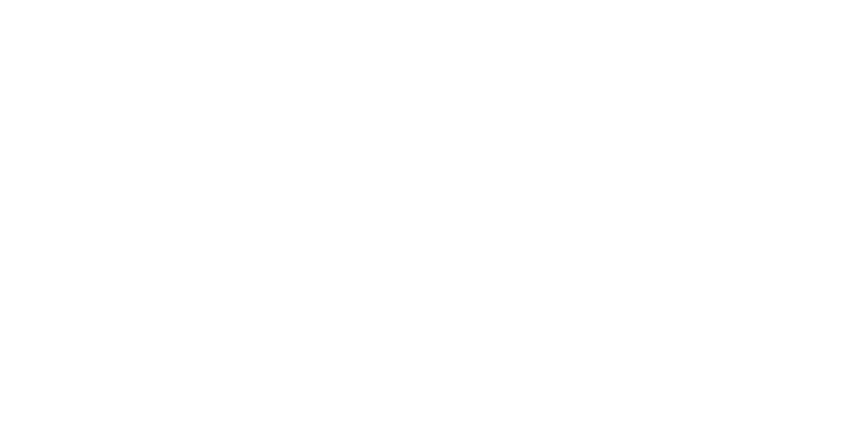 Project_Program Management