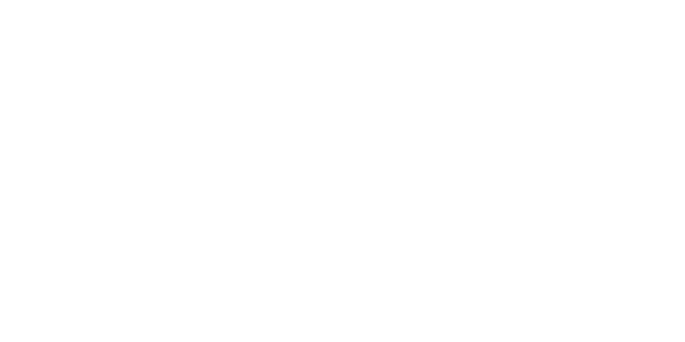 software engineering